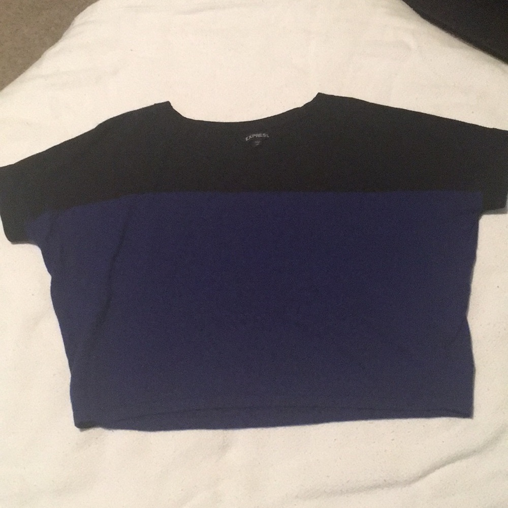 Color block Express crop sweater